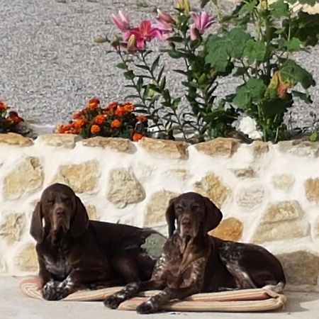 Le Clos De Tournes Echinghen Exteriér fotografie