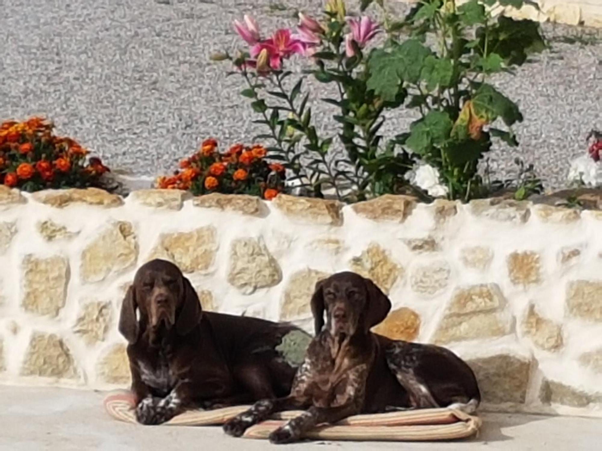 Le Clos De Tournes Echinghen Exteriér fotografie