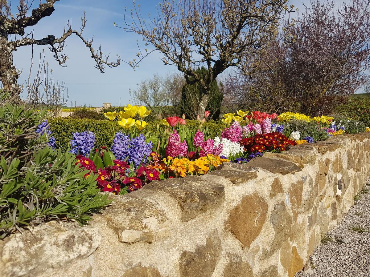 Le Clos De Tournes Echinghen Exteriér fotografie